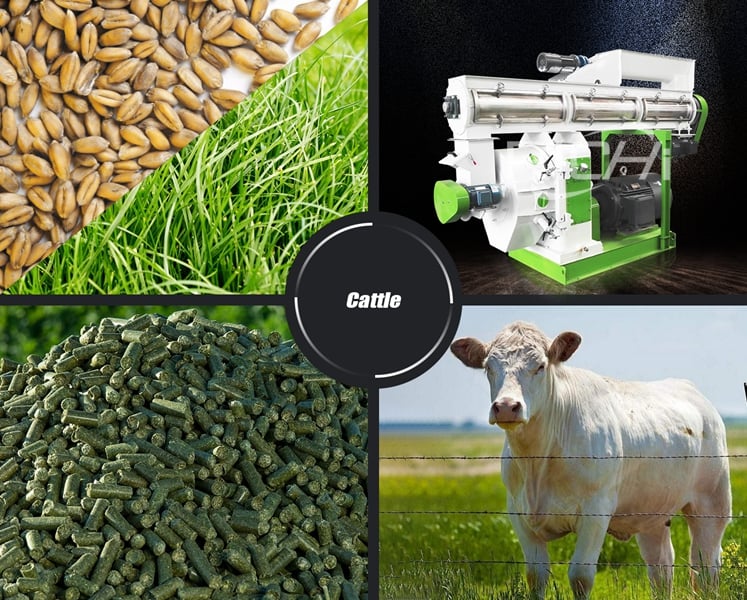 Advantages of cattle feed pellets