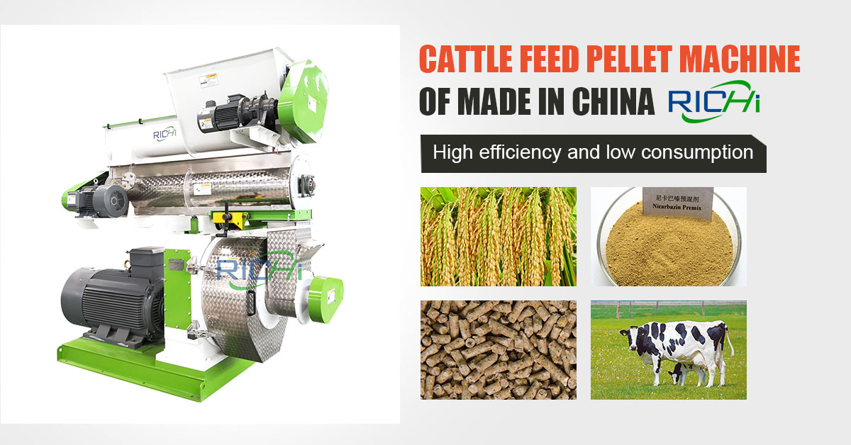 RICHI Machinery's Requirements for Cattle Feed Pellet Production