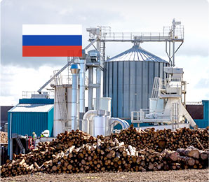 10-12T/H Wood Pellet Plant in Russia