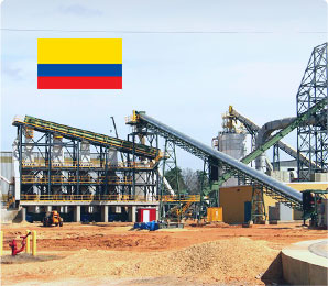 2.5TH Sawdust Pellet Press in Colombia