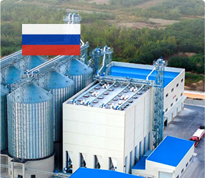 20T/H Ruminant Feed Pellet Plant in Russia