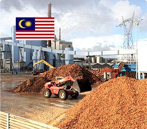 2-3T/H Wood Pellet Mill in Malaysia