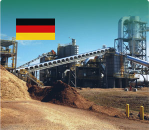 8T/H Municipal Solid Organic Waste Pellet Project in Germany