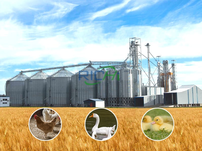 Chicken Duck Poultry Feed Pellet Plant