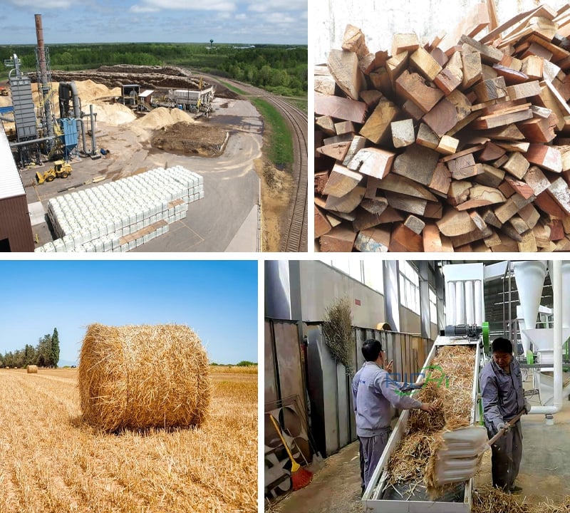 Differences of wood and straw pellet production lines