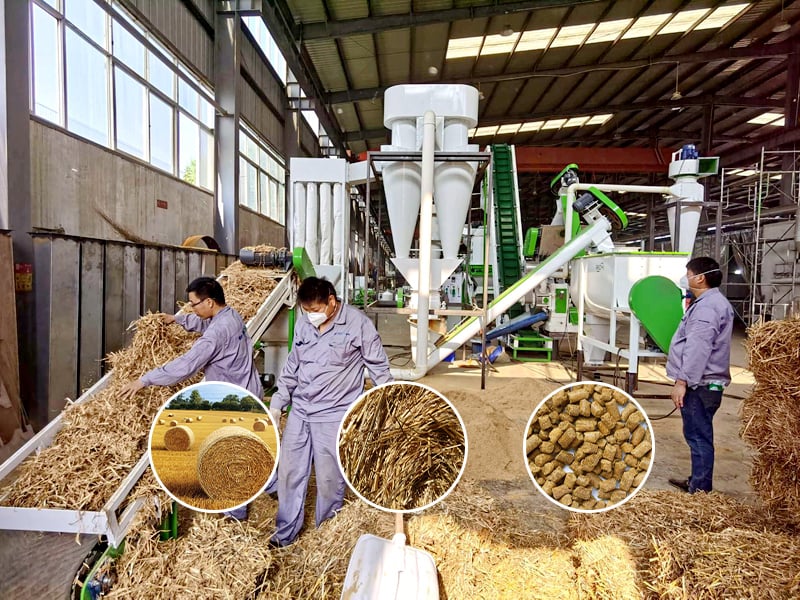 Hay Pellet Mill For Sale