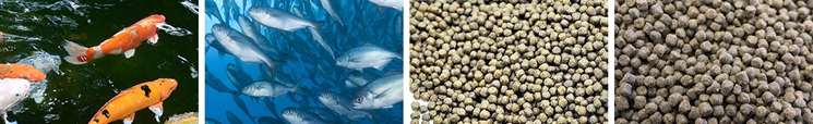 size of floating fish feed pellets