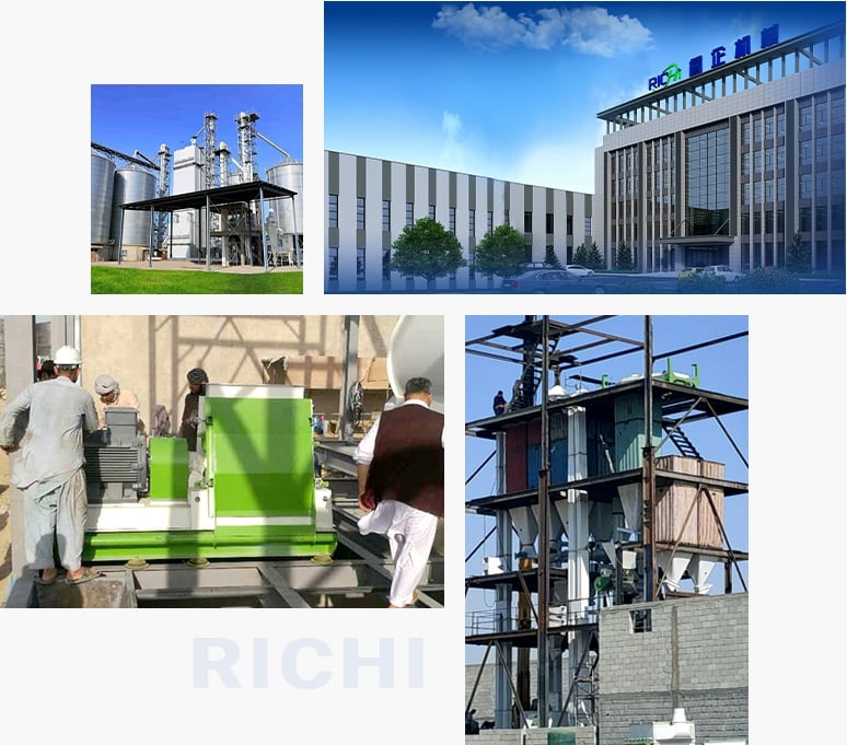 RICHI SFSP Animal Feed Hammer Mill In Feed Pellet Production Line