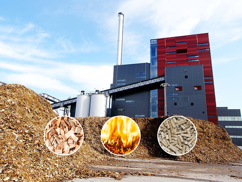 Turnkey Wood Pellet Mill