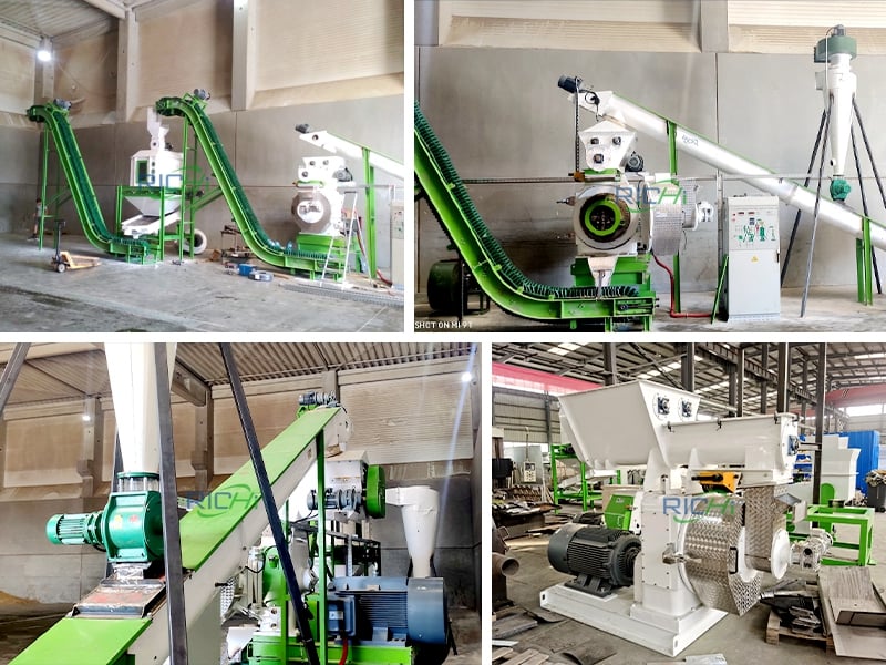 RICHI 2T/h wood pellet production line in Romania