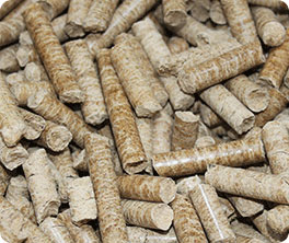 biomass pellets richi machinery