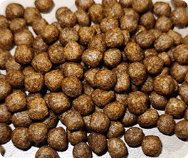 fish feed extruded pellets