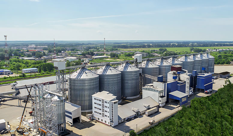 Advantages Of Raw Grain Silo In The Animal Feed Processing Plant