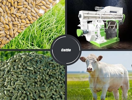 Cattle Feed Pellet Machine Price