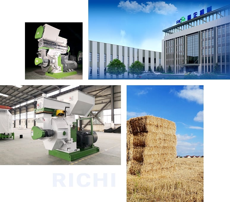 RICHI MZLH straw pellet machine for sale