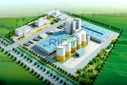 RICHI feed plant Selection Of Solution