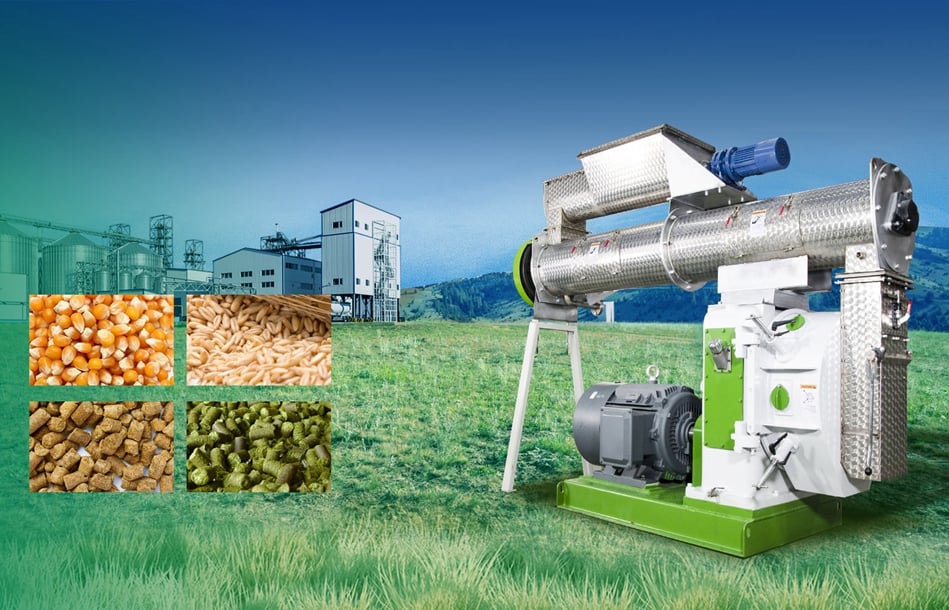 RICHI poultry feed pellet machine