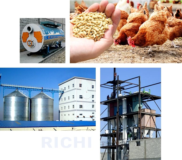 Why Did The Customer Choose Animal Feed Processing Plant Project