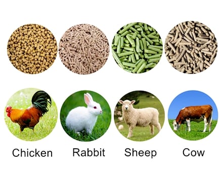 produce a variety of animal feed