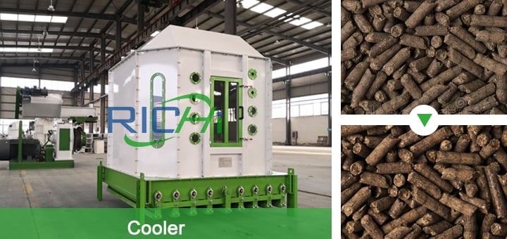 Chicken manure pellet cooler